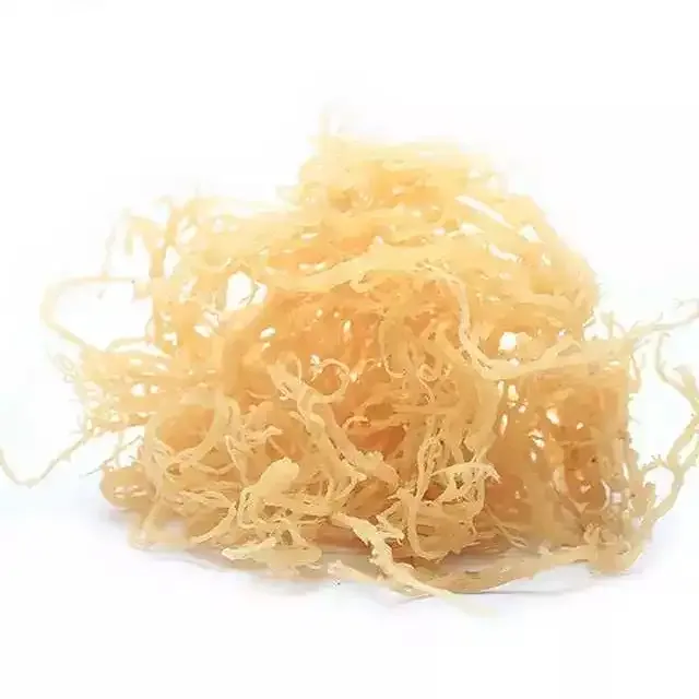 Low Cost Health Supplement Irish Seaweed Organic Irish Gel Seaweed Supplement Seaweed Gel Bulk