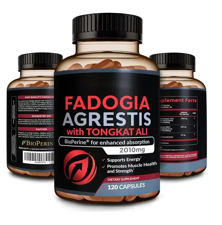 Lmproves Muscle Strength Absorption Gummies